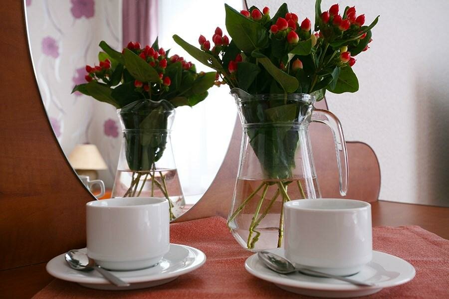 Гостиница Старый Доктор Светлогорск